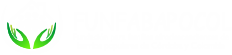 funfabapocol